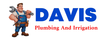 Trusted plumber in WING